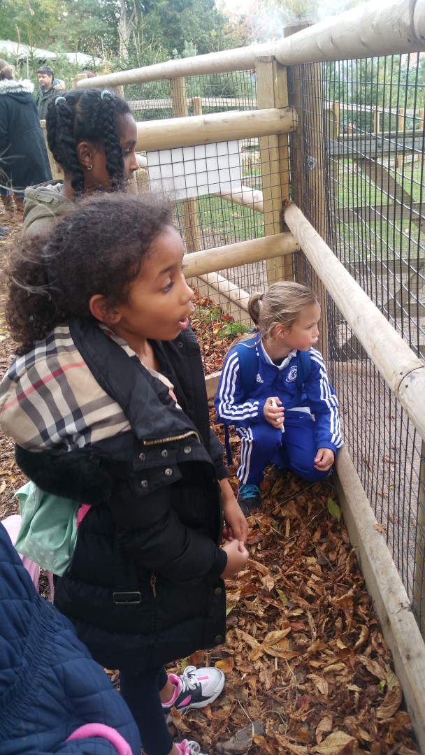 20161027 153451 (Large)